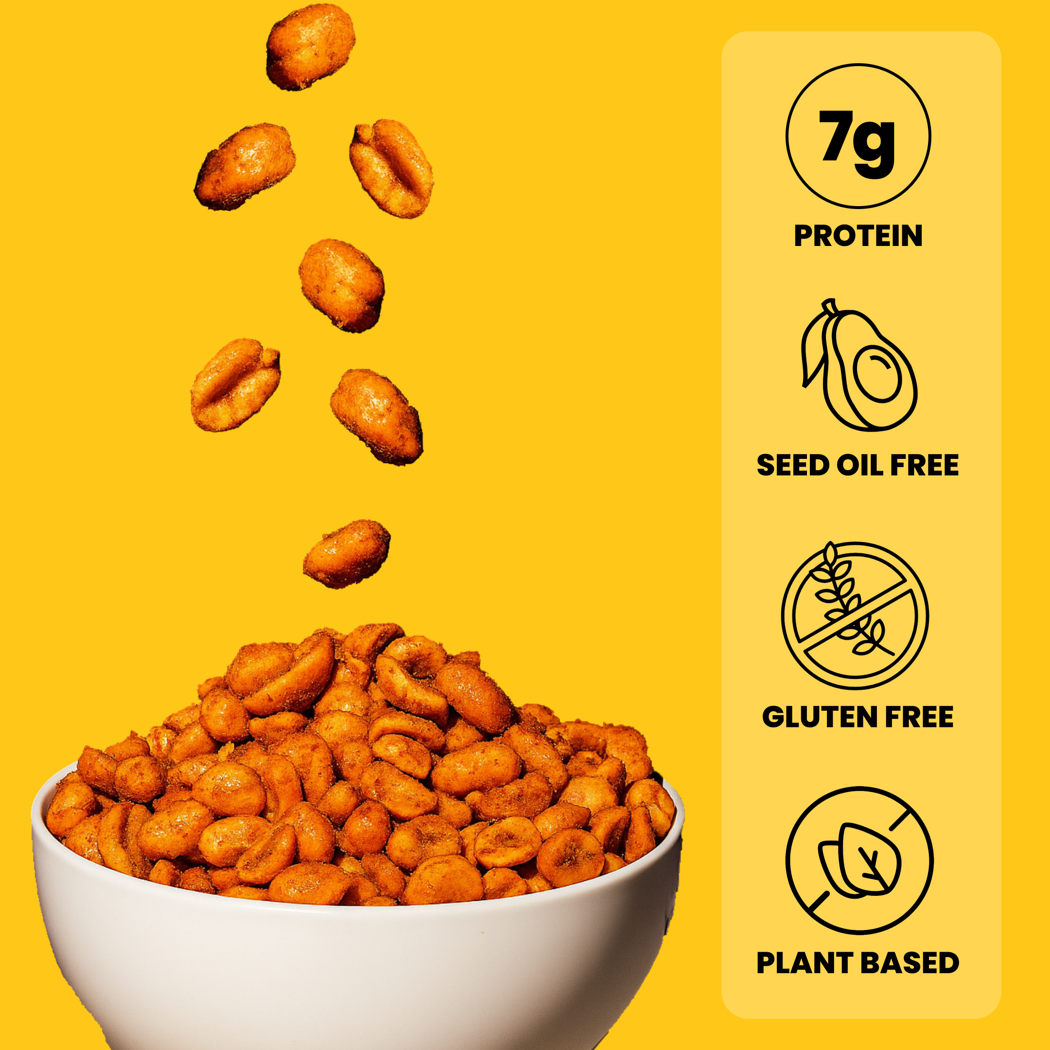 Spicy Dry Roasted Peanuts – Gourmet Protein Snack 7.0oz