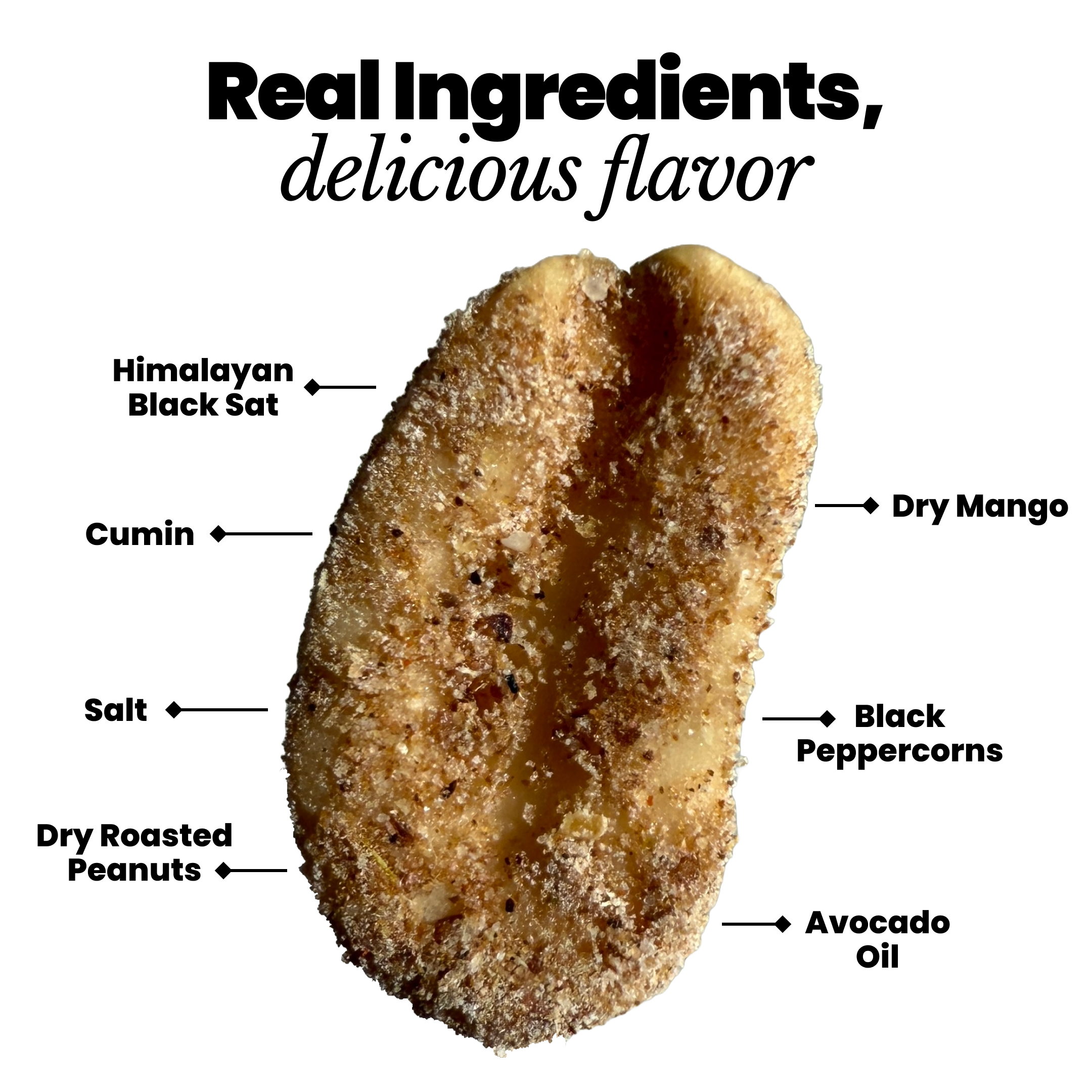 Salty Dry Roasted Peanuts – Gourmet Protein Snack 7.0oz