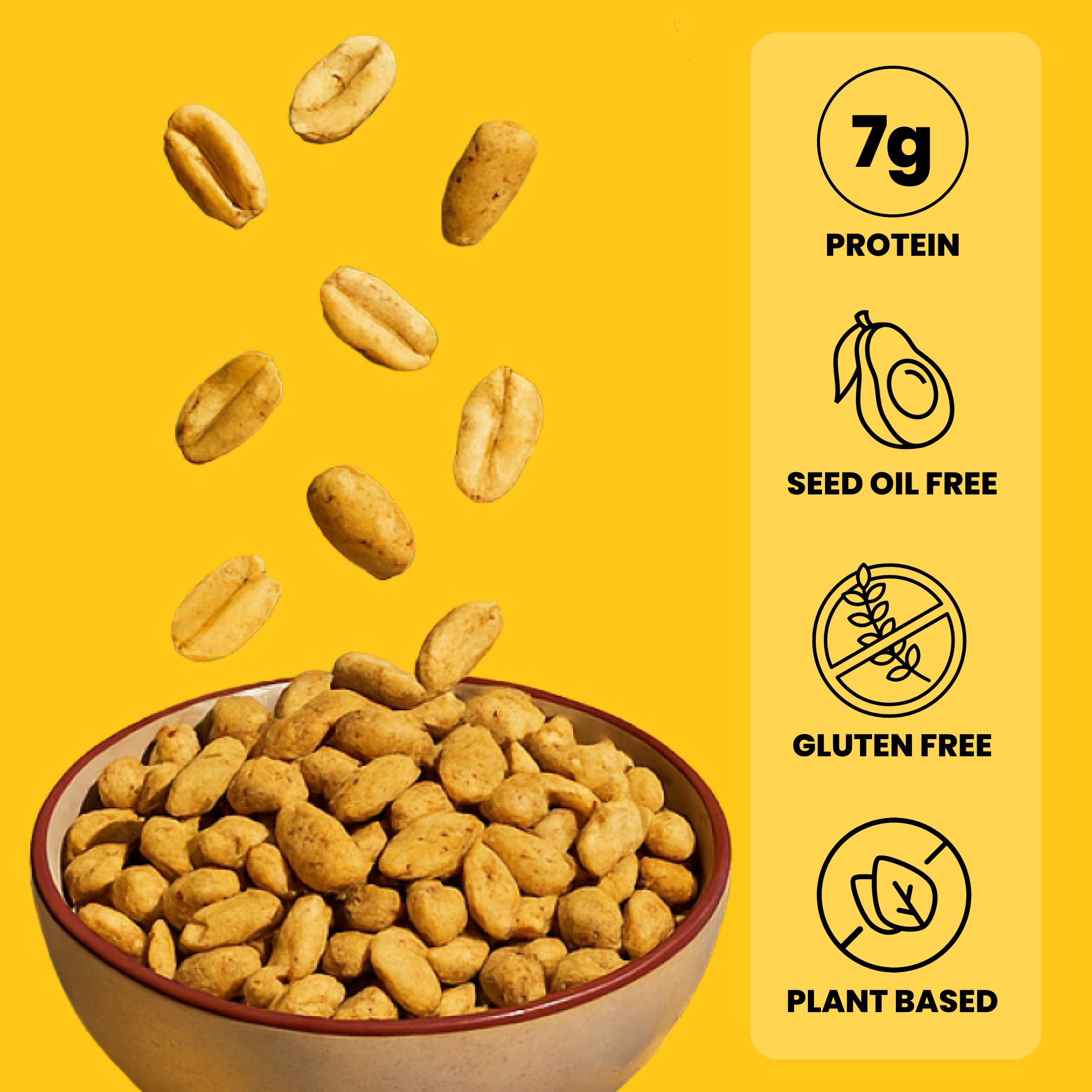 Salty Dry Roasted Peanuts – Gourmet Protein Snack 7.0oz