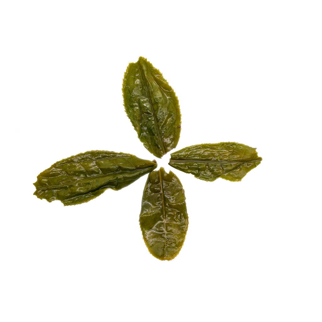 Lu An Gua Pian Tea 六安瓜片