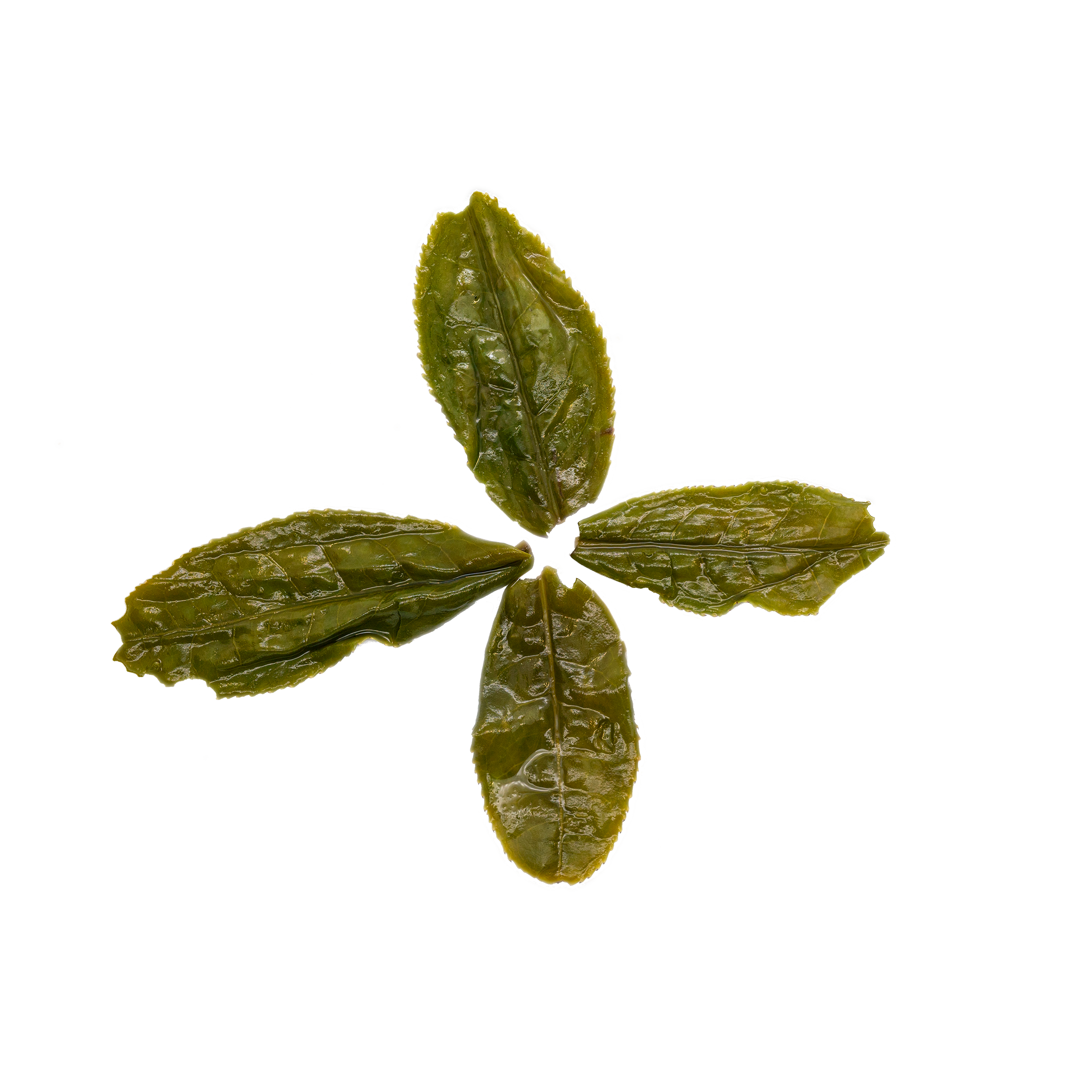 Lu An Gua Pian Tea 六安瓜片