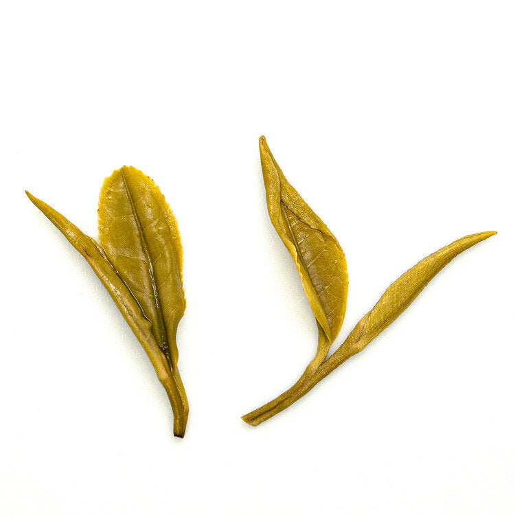 Huo Shan Huang Ya Tea 霍山黃芽