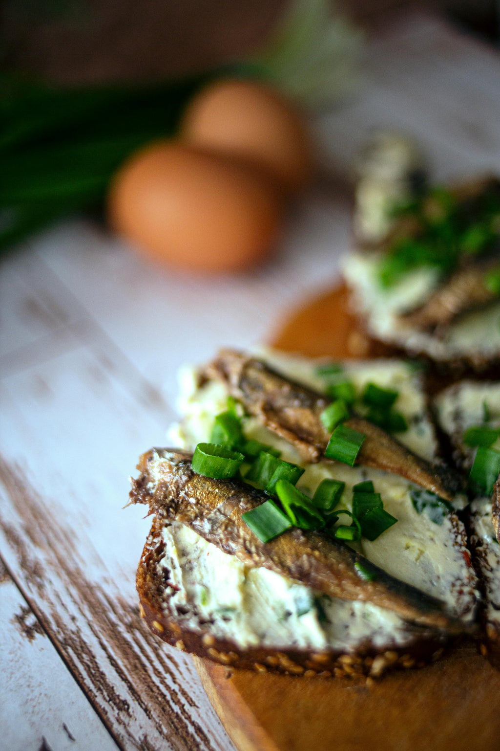 Conservas Sardines in Organic Extra Virgin Olive Oil