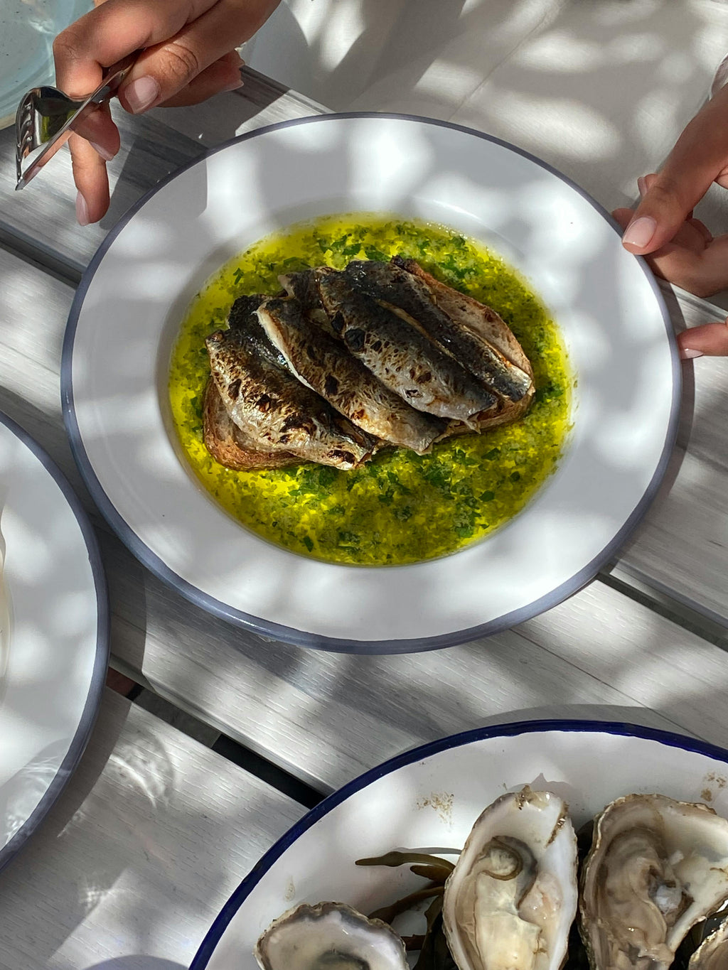 Conservas Sardines in Organic Extra Virgin Olive Oil